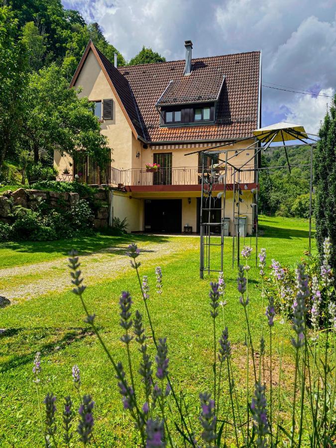 Séjour chez l'habitant La Araucania, 2 Personnes - Wifi Rombach-le-Franc